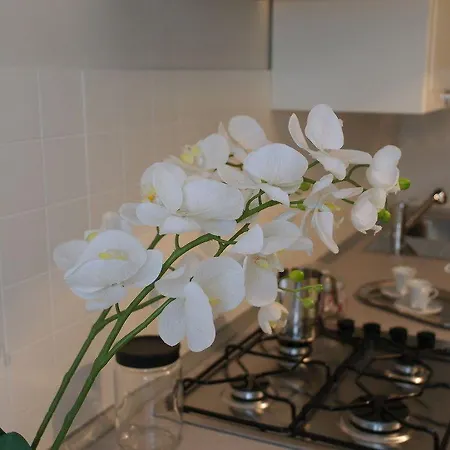 カーサ デッレ オルテンシー アパート ヴェネツィア