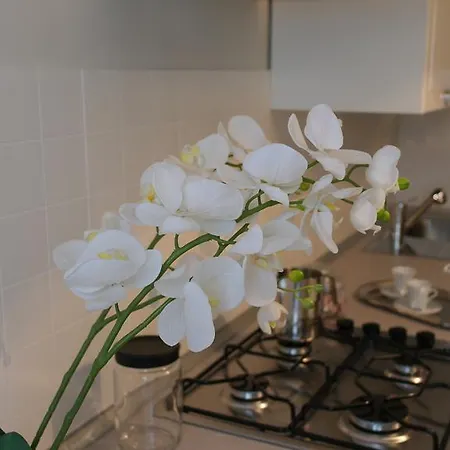 Apartamento Casa Delle Ortensie
